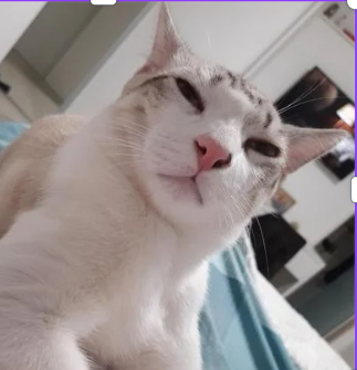 <em><strong>Andrea O.</strong></em>